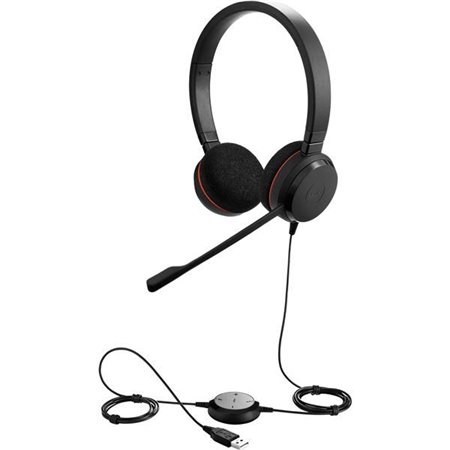 Jabra Evolve 20, Mono USB, MS